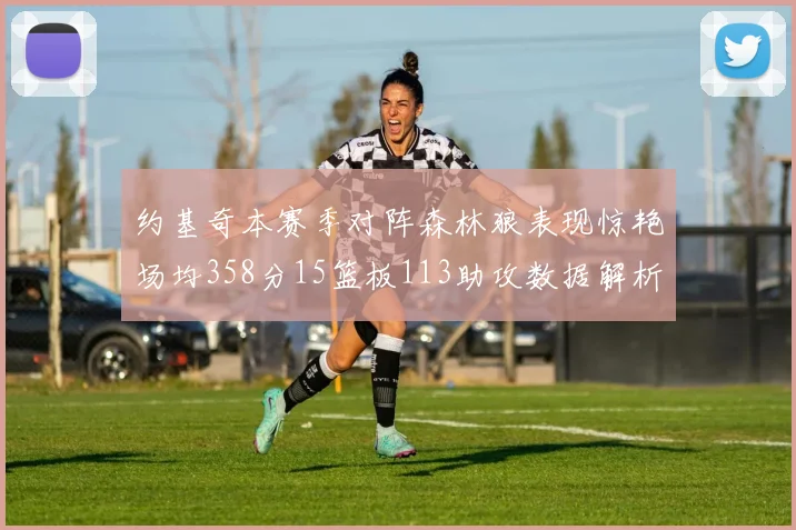 约基奇本赛季对阵森林狼表现惊艳场均358分15篮板113助攻数据解析