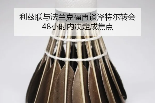 利兹联与法兰克福再谈泽特尔转会 48小时内决定成焦点